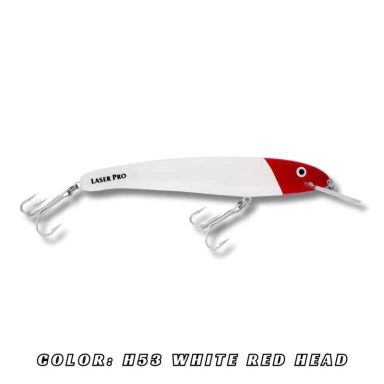 15F1F9C784B9459C8A007DAA664D1827.jpg