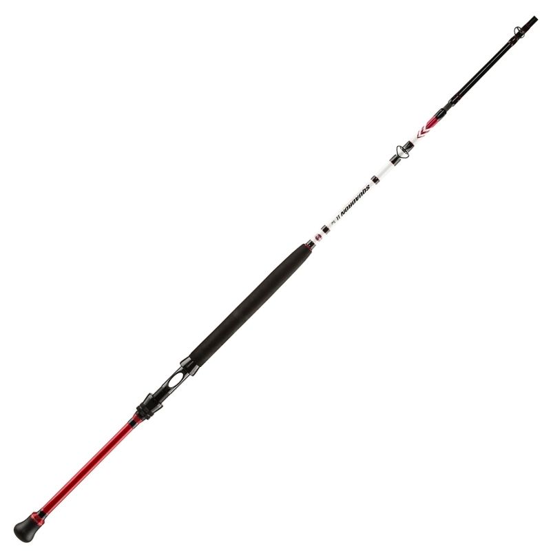 PENN CAÑA SQUADRON II BOAT 12-20LB