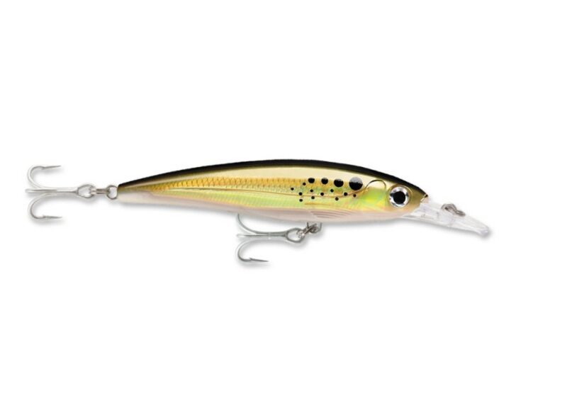 RAPALA X-RAP SALTWATER - Imagen 6