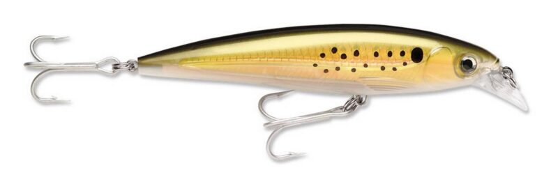 RAPALA X-RAP SALTWATER - Imagen 18