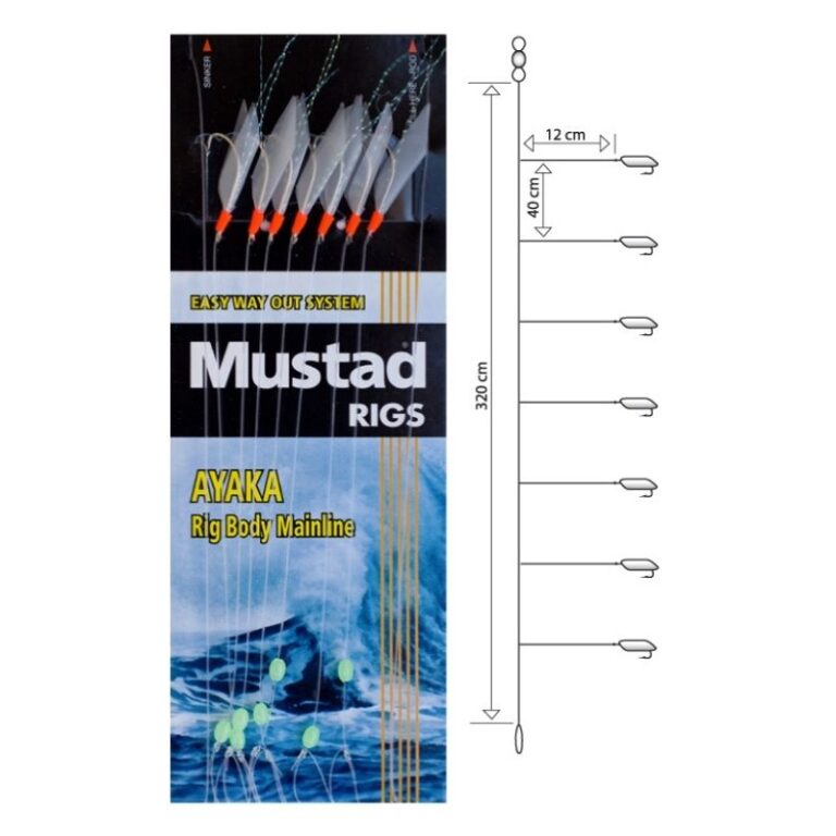 D1FBB6A1DD3742329336B03ADB11AFC8.jpg