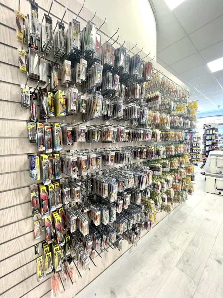 489926766 1235724948552781 581644685350907094 n