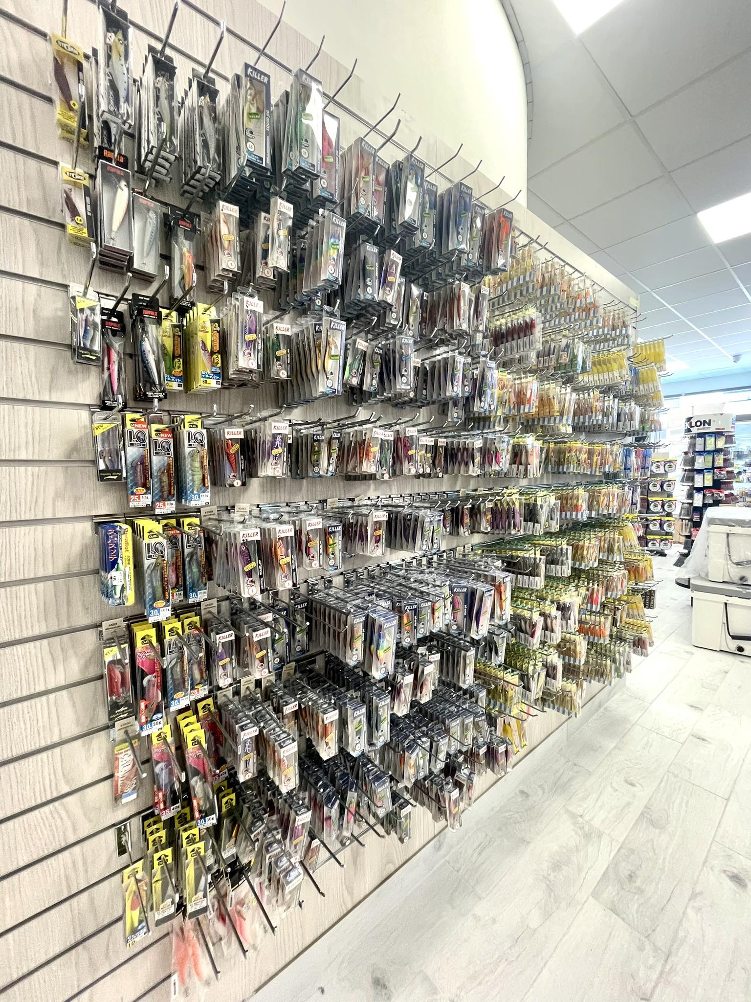 489926766_1235724948552781_581644685350907094_n