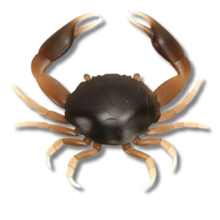 D6D2D0E95F3A41828FF46594F99C325D.jpg
